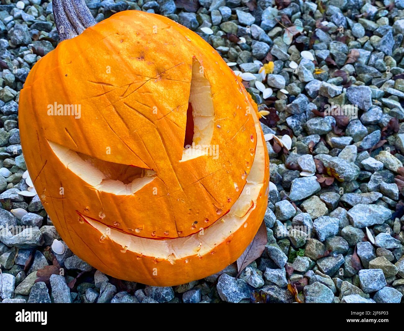 Halloween carved pumpkin Stock Photo - Alamy
