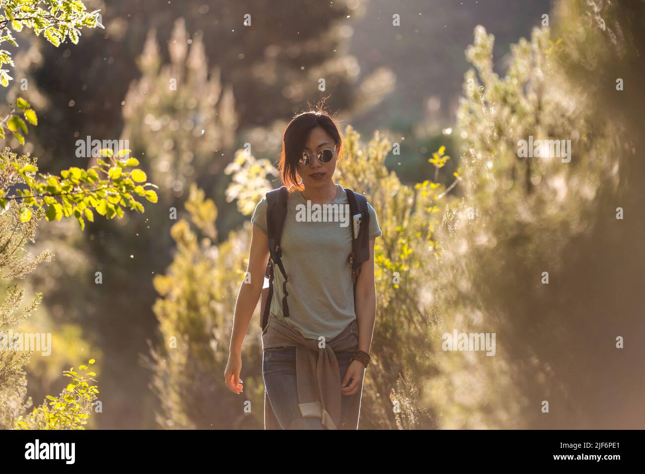 Asian female hiker backpack hi-res stock photography and images - Alamy