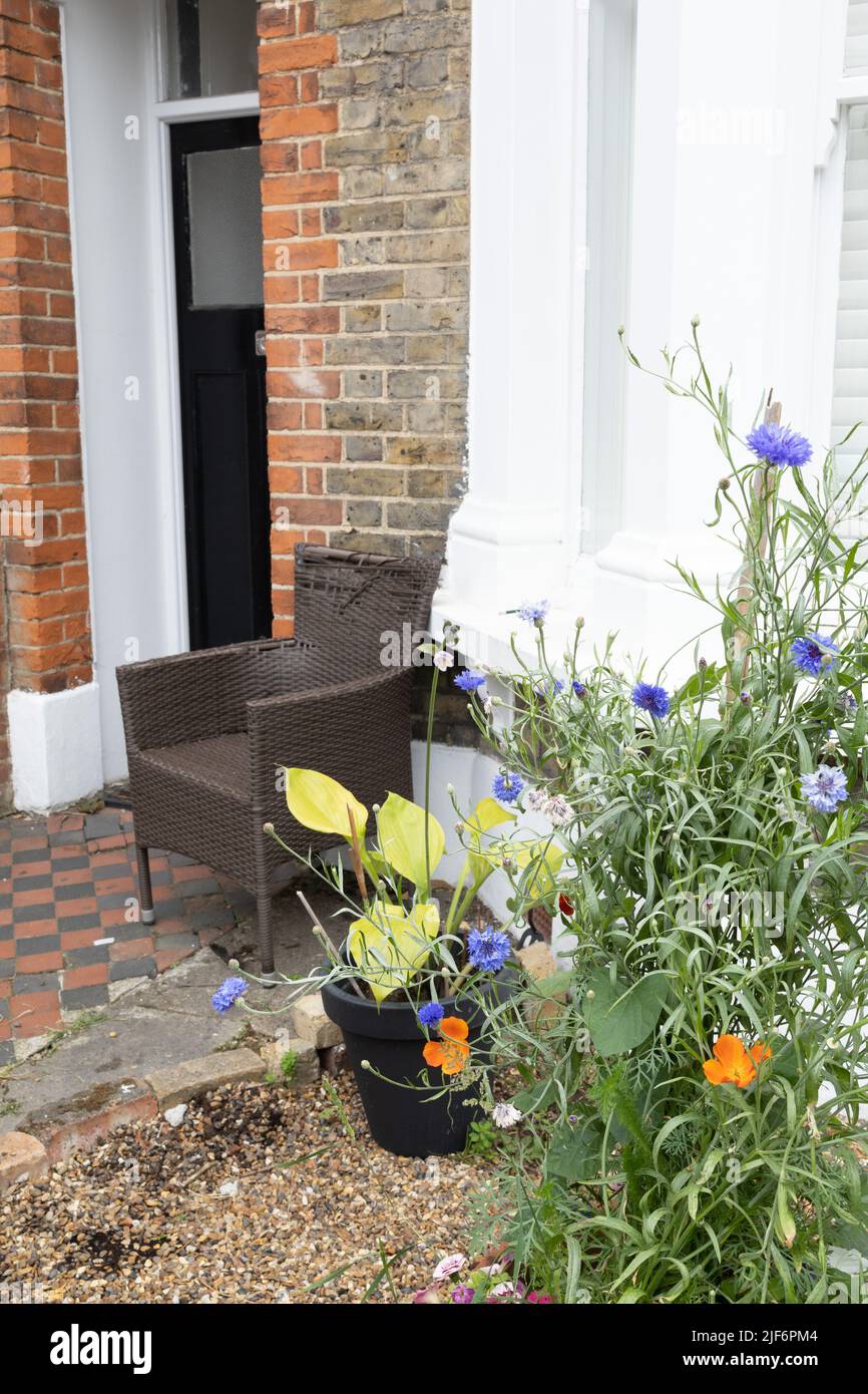 Chair outside front door with front garden and plant pots, London UK