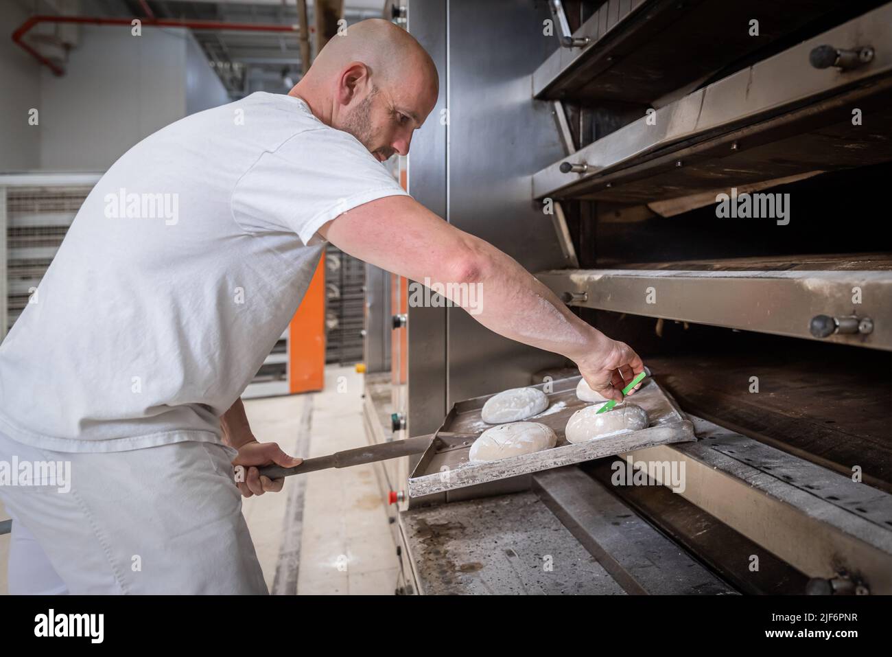 Side view baker scoring unbaked bread loaf with knife on flat shovel