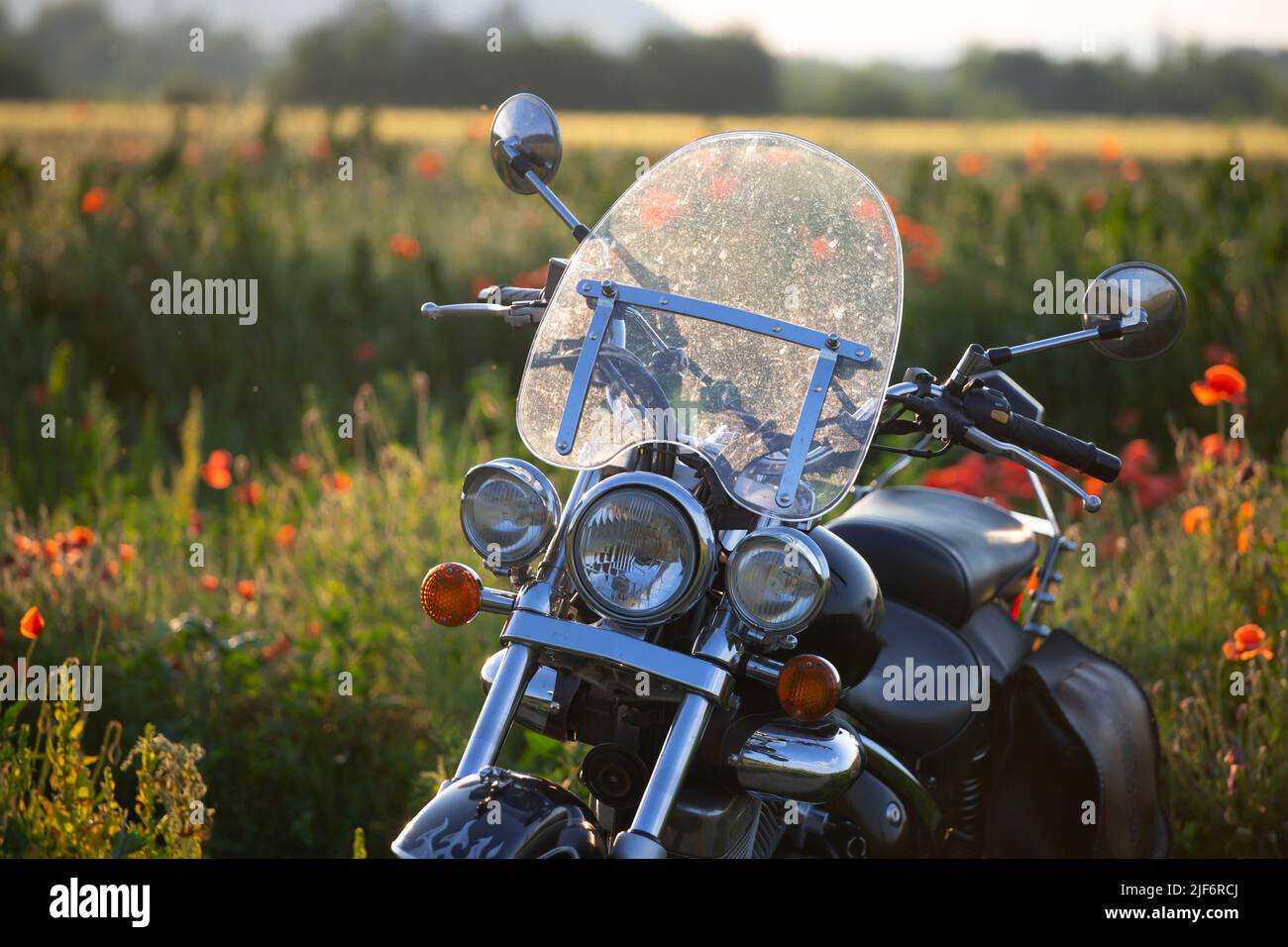 Poppy races with wanderlust on new single 'Motorbike