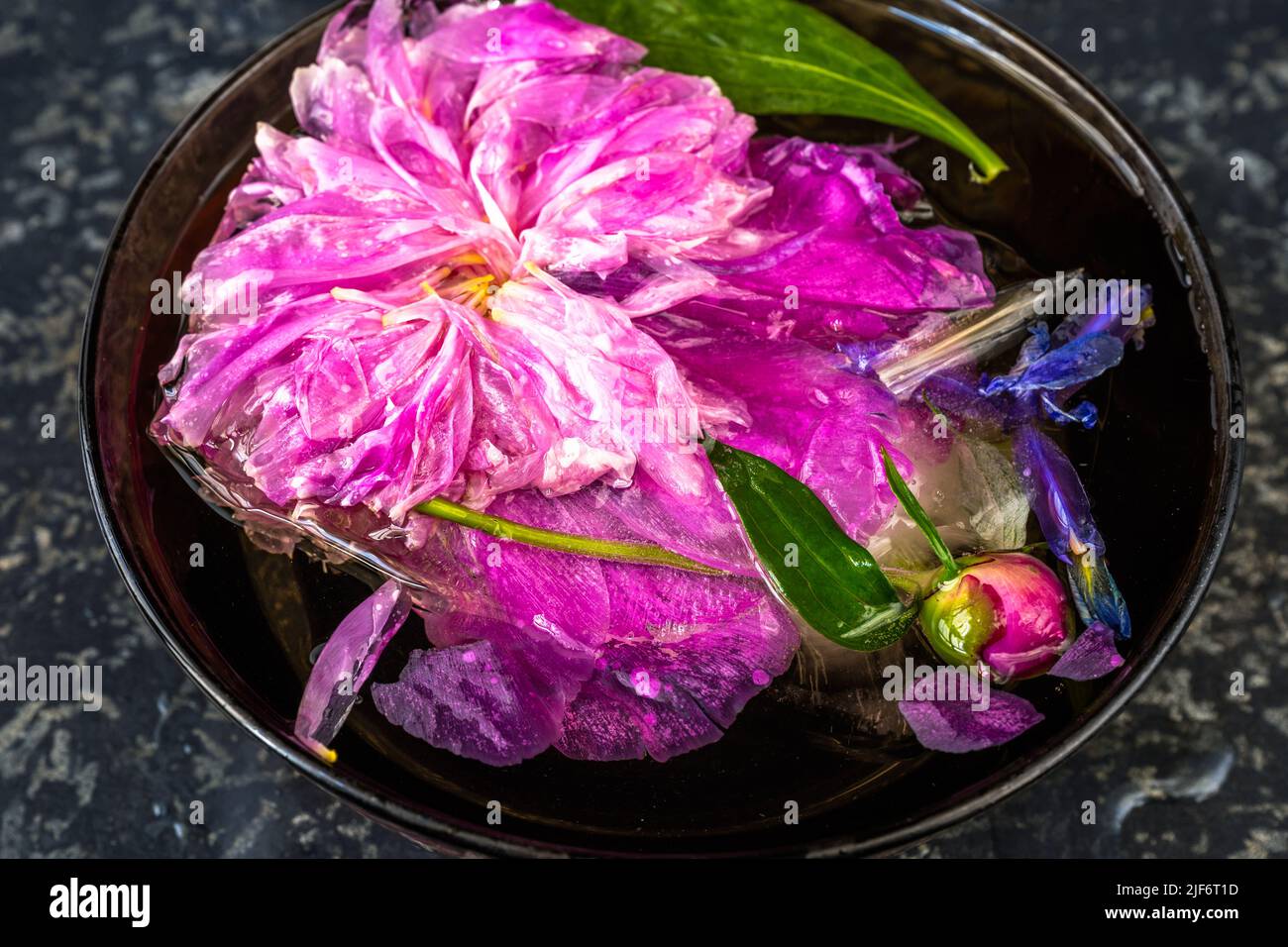 Bowl with frozen flower (peony and iris) in ice cube on black background, closeup. Stock Photo