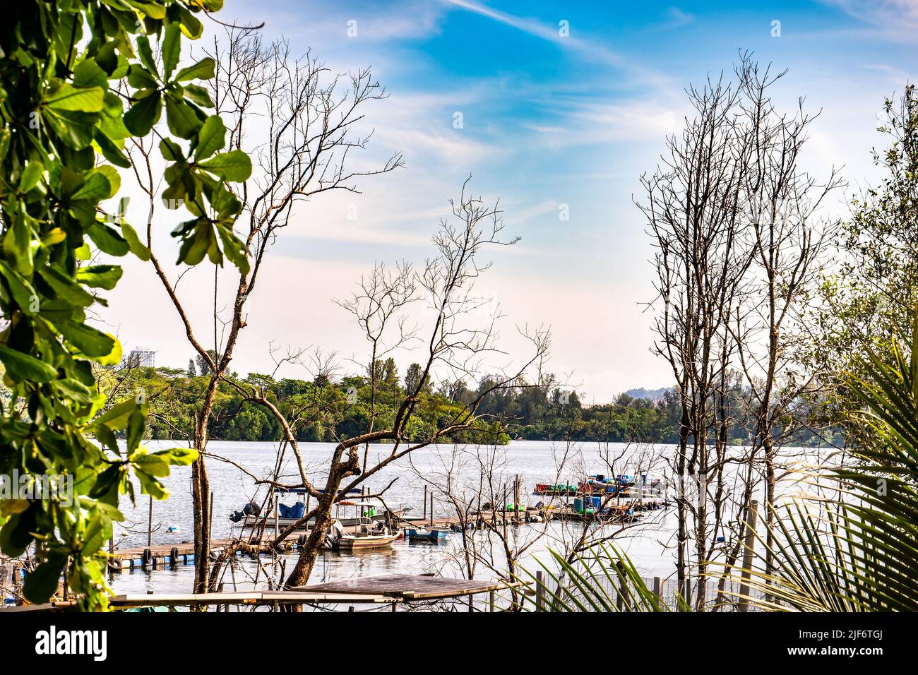Jenal Jetty at Seletar Fishing Village. Singapore's Last Fishing