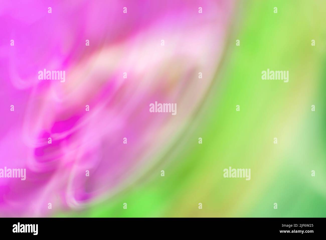 Green grass wild meadow blurred bio backgrounds. Amazing green plants