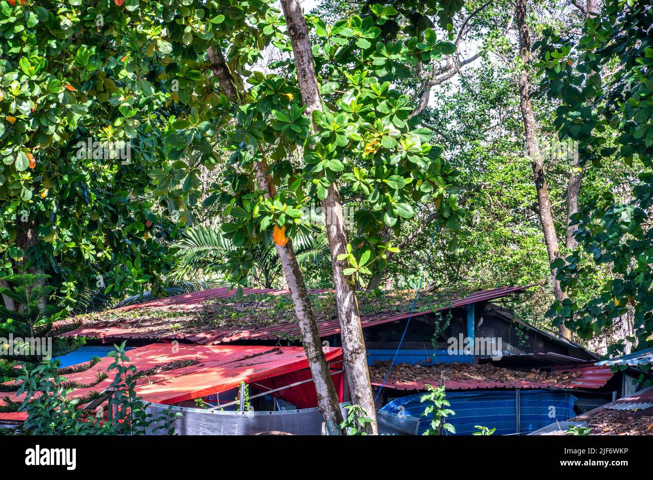 Seletar Fishing Village, Singapore's Last Fishing Village, near Yishun