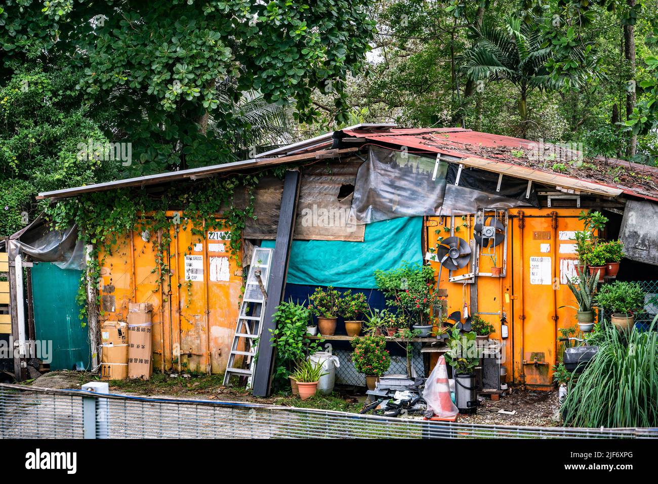 Seletar Fishing Village, Singapore's Last Fishing Village, near Yishun