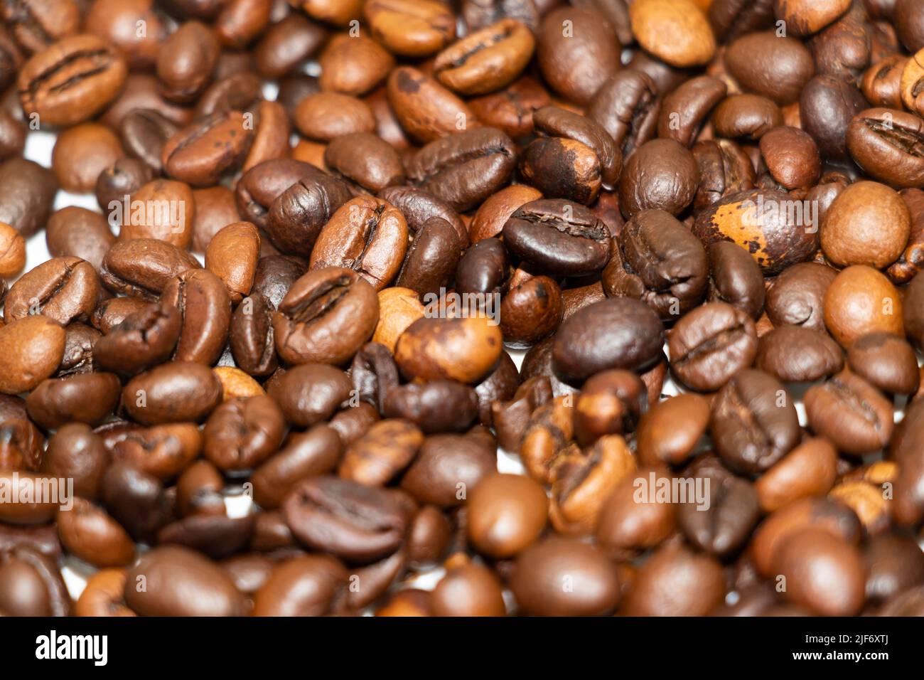 coffee bean still life image, fresh coffee bean isolated in white