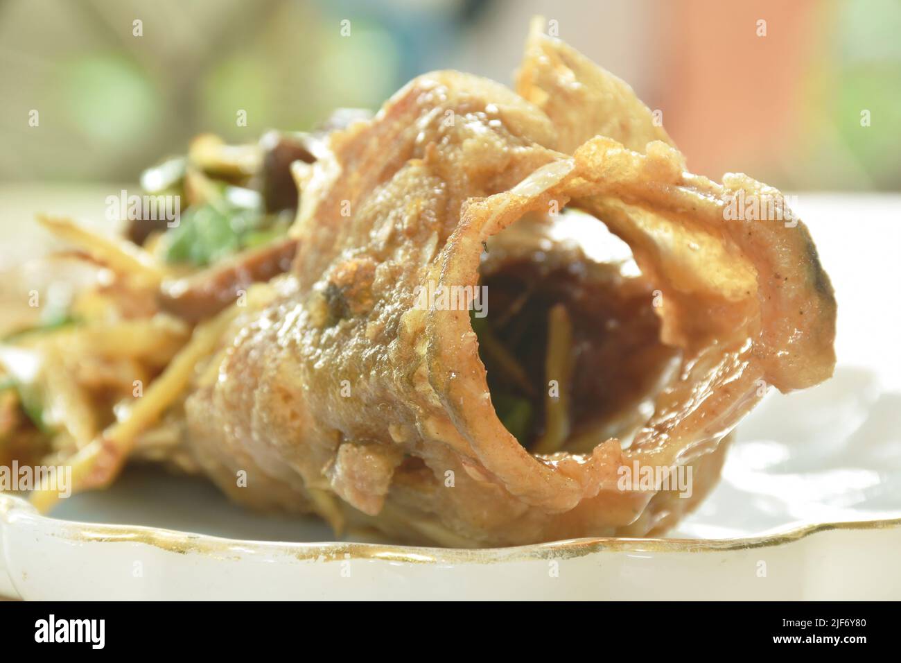 batter fried red grouper fish dressing ginger with mushroom in soy