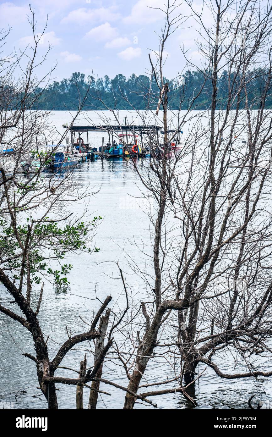 Jenal Jetty at Seletar Fishing Village. Singapore's Last Fishing