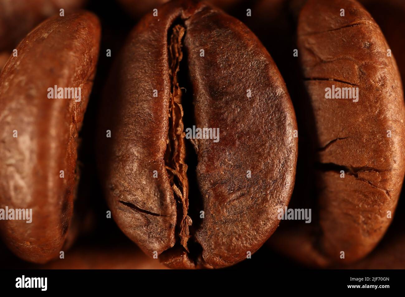 Coffee-Mate Hazelnut Powder Creamer 15oz main image 0
