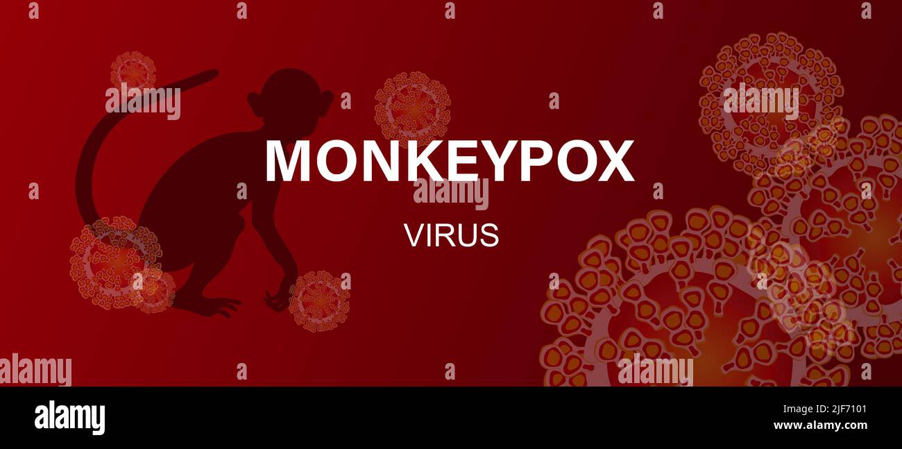 Monkeypox virus. Banner with text, virus cells and monkey silhouette. Virus disease concept. Vector microbiology background. Stock Vector
