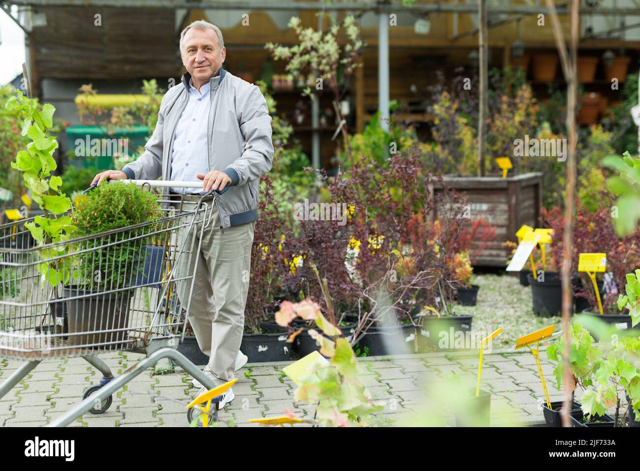 Caucasian man choosing sprouts in garden center Stock Photo