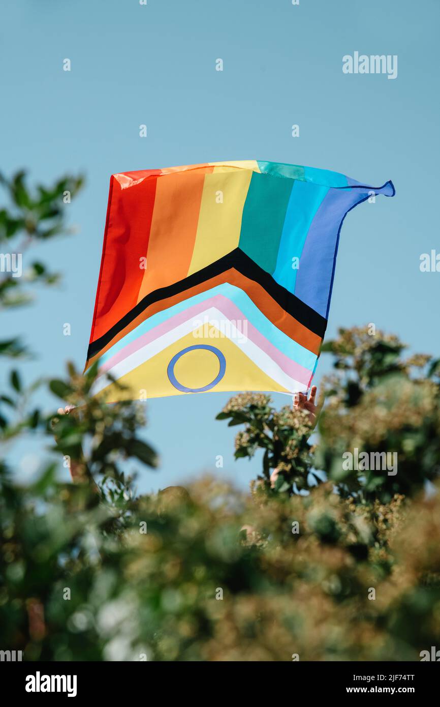 closeup of a man, peeping out from a bush, showing an intersex-inclusive progress pride flag waving in the air Stock Photo
