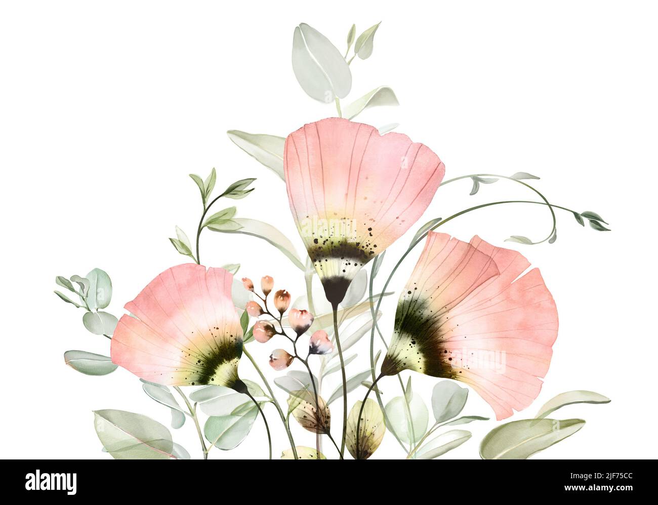 Watercolor floral border. Bright transparent flowers in modern boho style. Pastel peach colour anemones with eucalyptus branches. Abstract hand Stock Photo