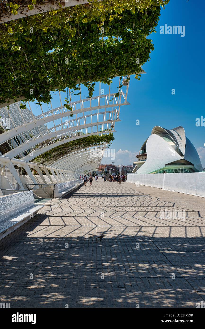 ciudad de las artes y las ciencias in Valencia Spanien Futuristic architecture; City of Arts and Sciences by Santiago Calatrava in Valencia, Spain Stock Photo
