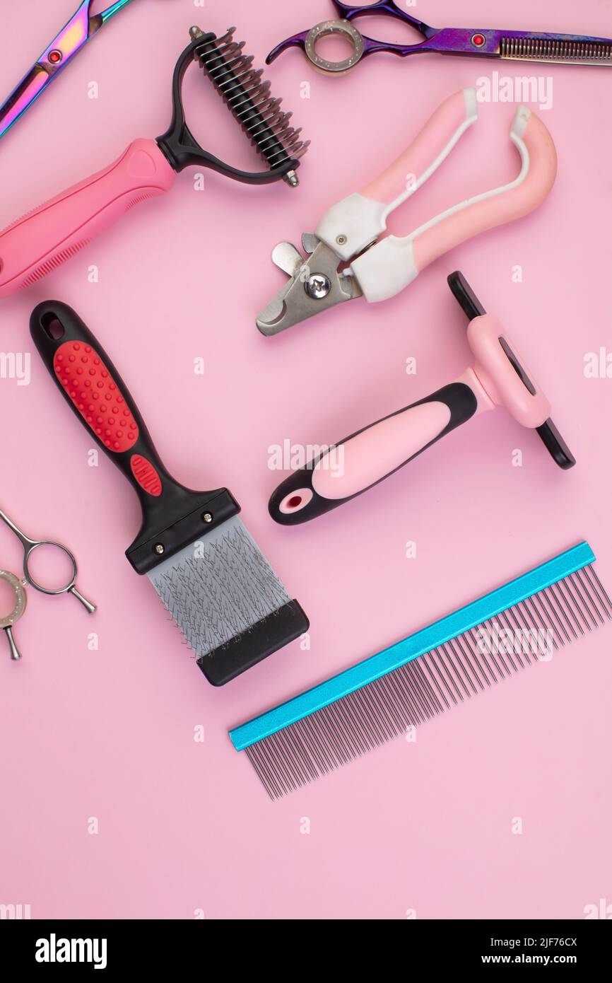 Tool for the groomer on a pink background. Dog grooming accessories