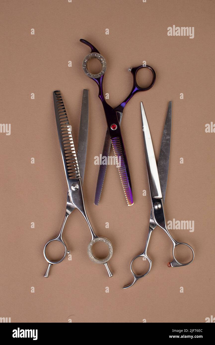 Tool for the groomer on a beige background. Dog grooming accessories