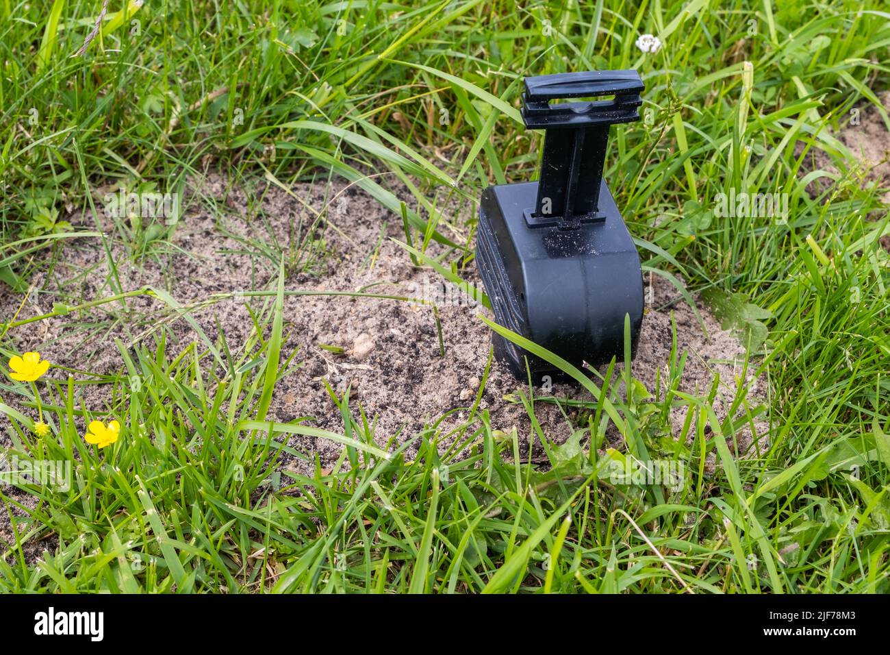 Mole trap set on the lawn Stock Photo Alamy