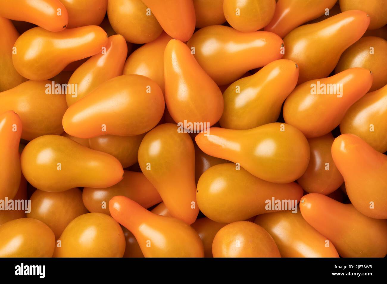 Yellow whole small pear tomatoes close up full frame as background Stock Photo