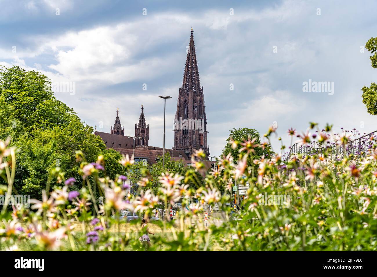 Blick vom Stadtgarten auf das  Freiburger Münster, Freiburg im Breisgau, Schwarzwald, Baden-Württemberg, Deutschland | View from City garden to the Fr Stock Photo