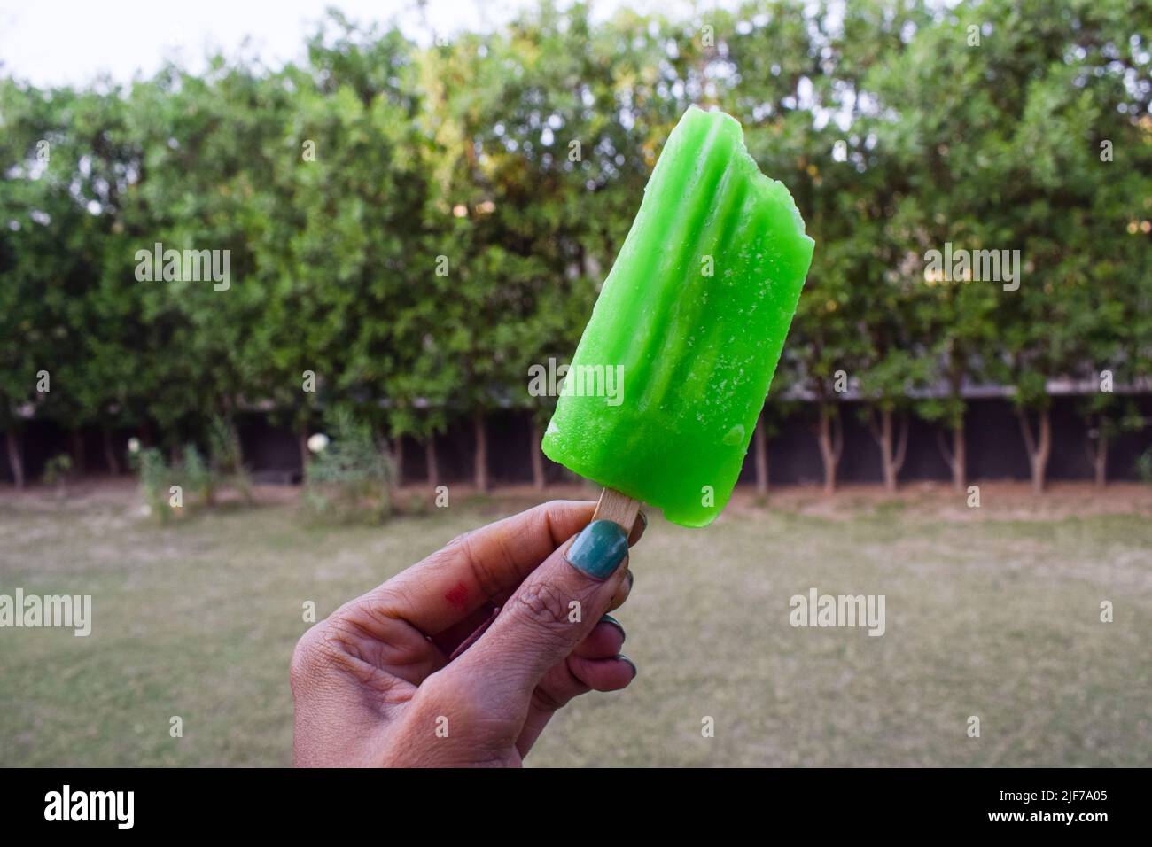 Person eating Cold Icecream bar candy Frozen dessert in scroching summer eat. Green color flavour popsicle ice cream of raw mango sweet taste Stock Photo