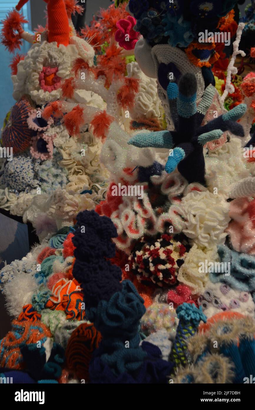 Crocheted patterns in forms of Corals in various colours Stock Photo