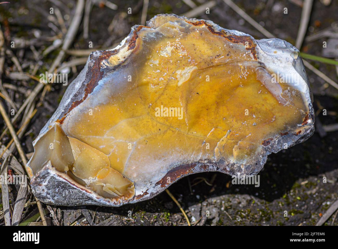 White rock with orange or amber middle, New Forest, Hampshire, England, UK Stock Photo