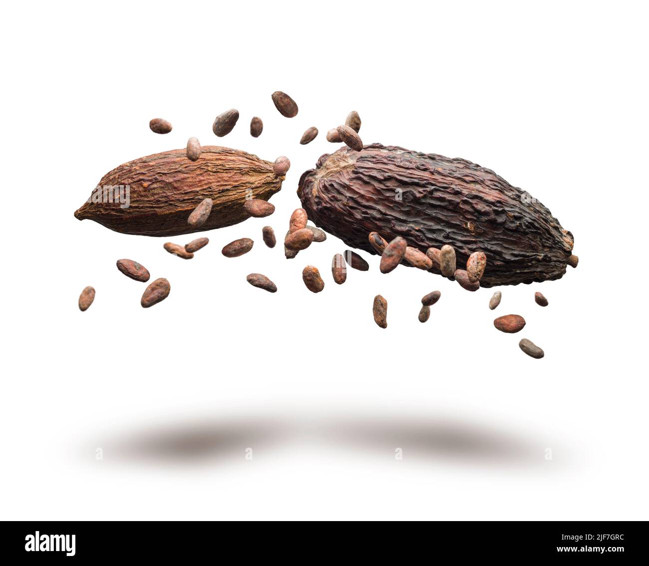 Cocoa pods and beans jumping on white background Stock Photo