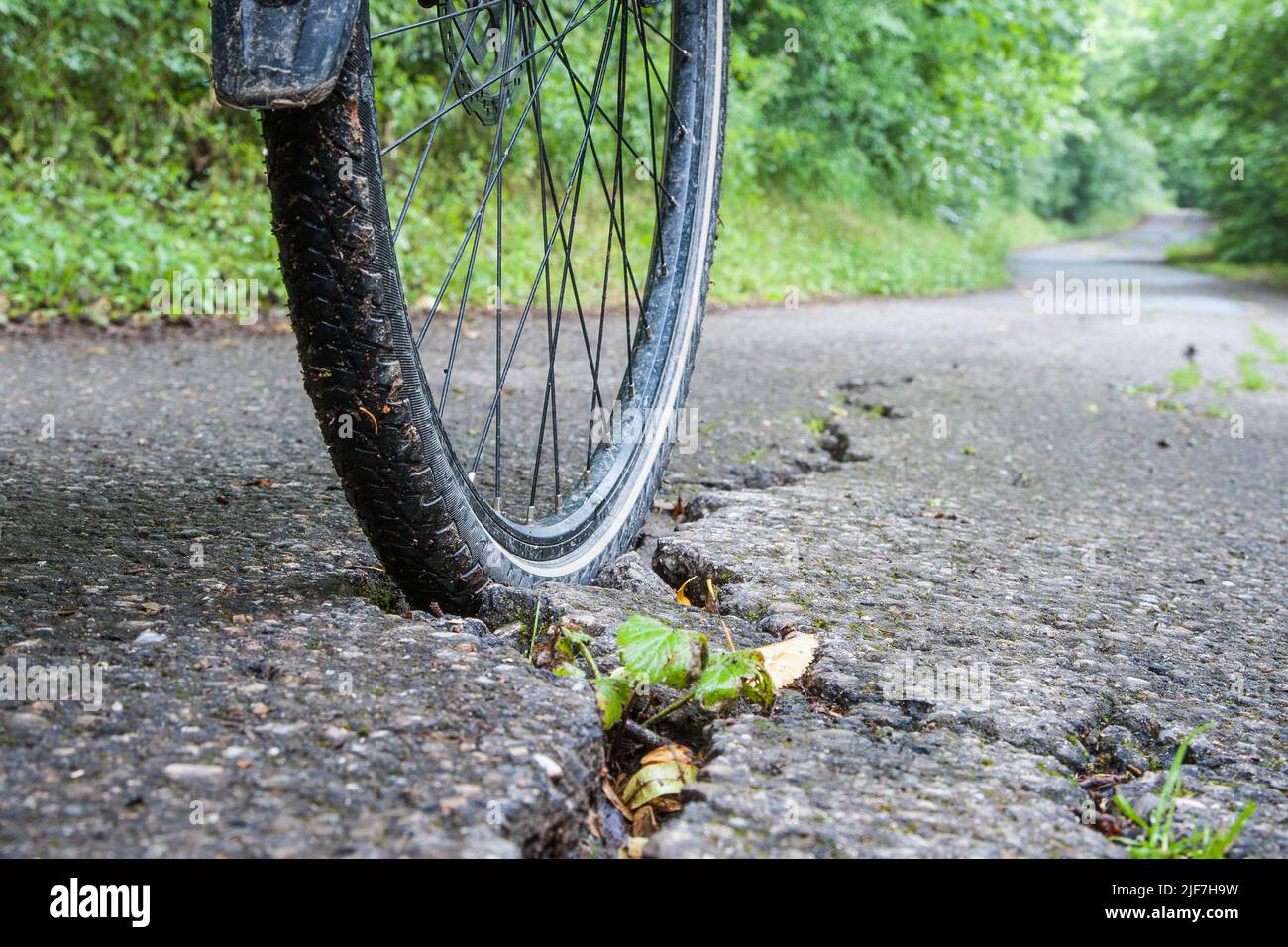 A bicycle tire is stuck in a crack in the asphalt. Bad subsoil on bike paths is the cause of many accidents that occur with bikes. Stock Photo