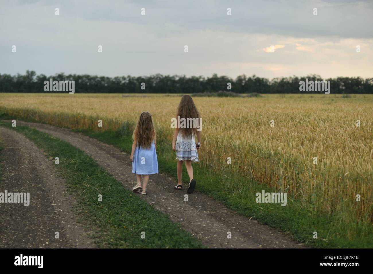Girls in the wheat field at a sunset Stock Photo - Alamy