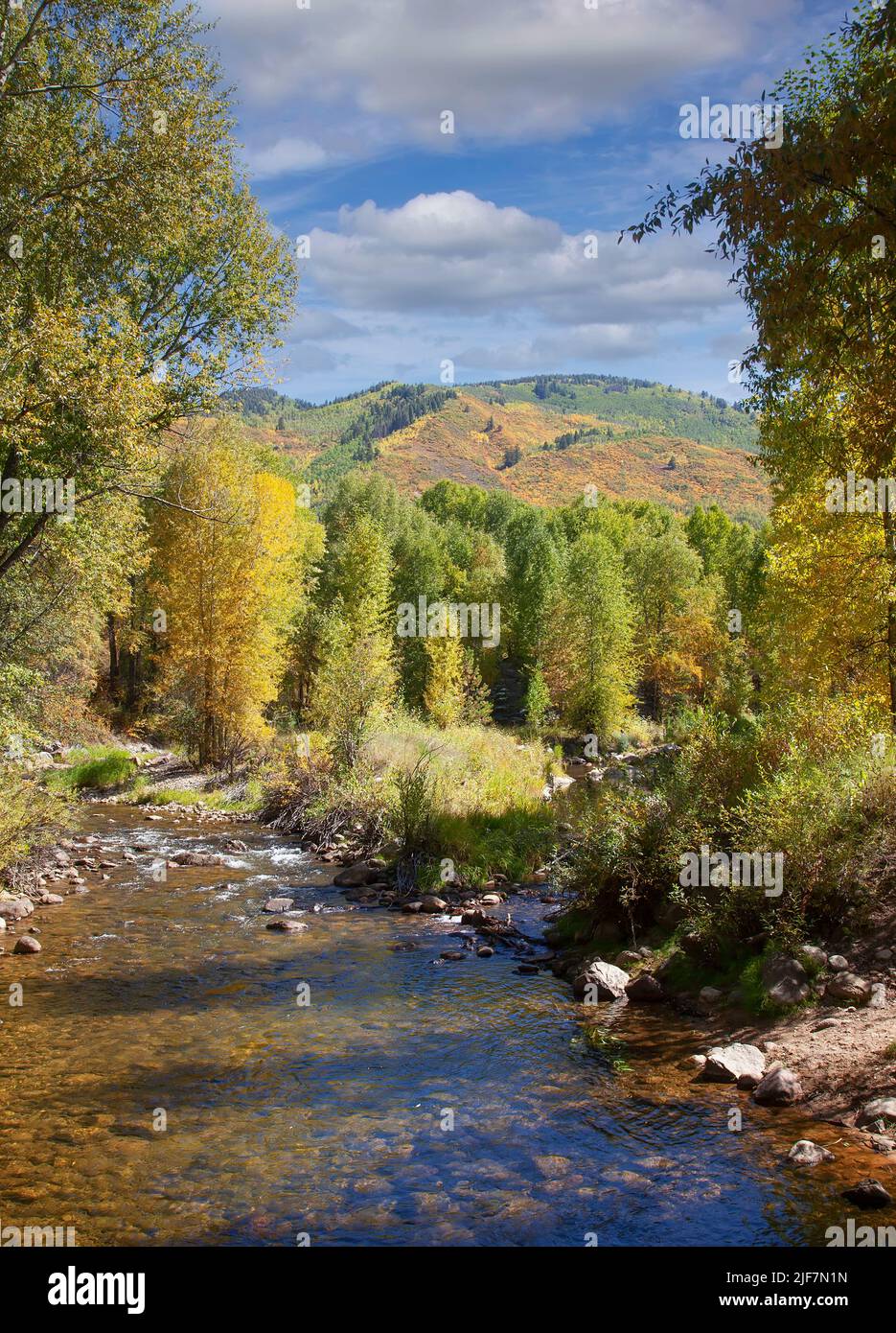 Stream and colorful landscape in the back country of Colorado Stock Photo