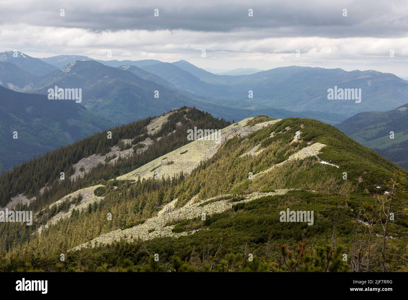 Ukraine, Eastern Carpathians, Central Gorgany Mountains - Syvulya mountain peaks of Gorgany Stock Photo