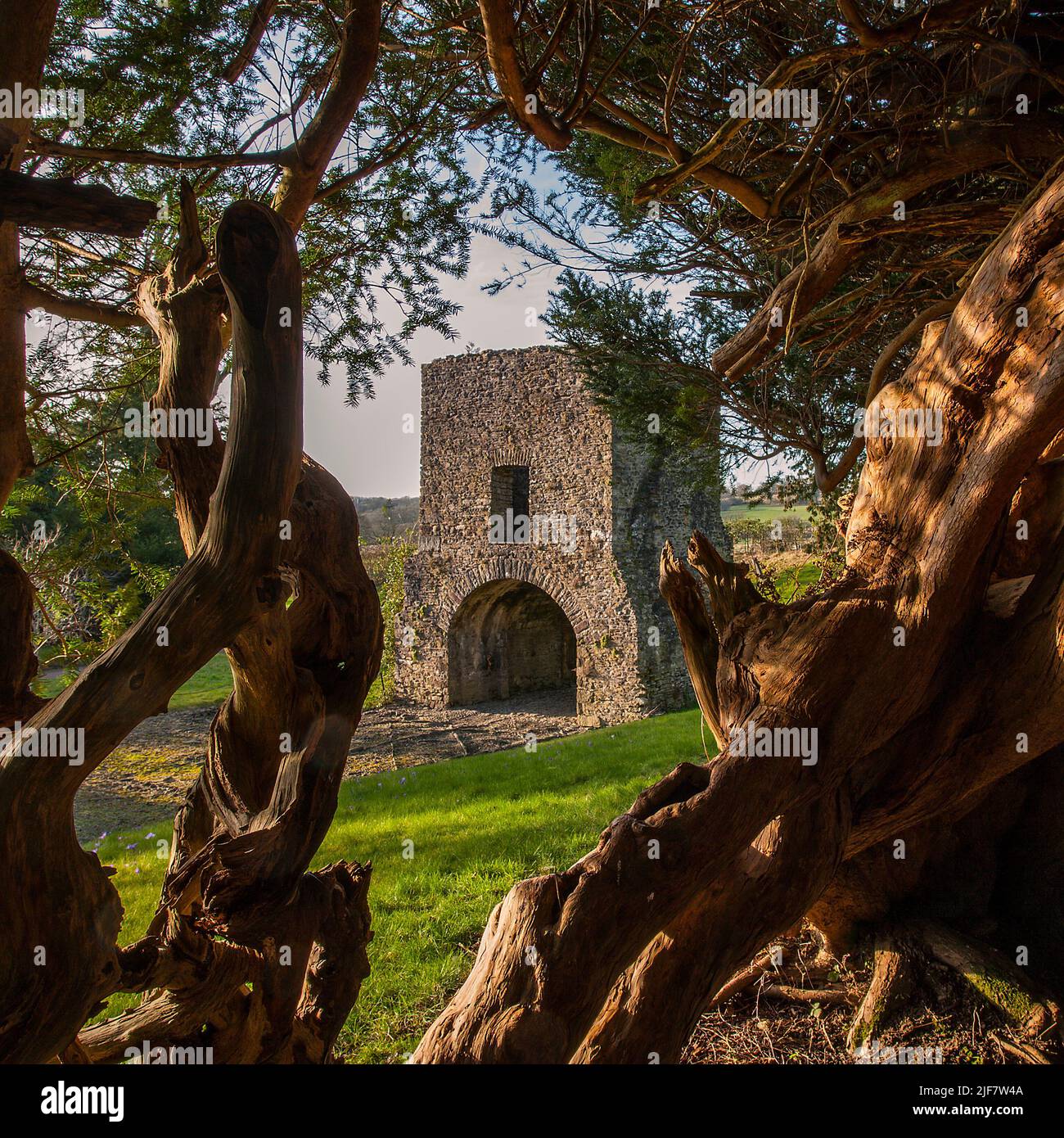 The Gate House viewed through the ancient Yew tunnel at Aberglasney Gardens Stock Photo