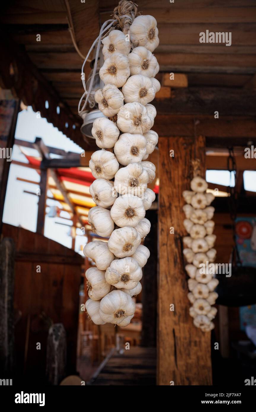 string of dry white garlic hanging, Serbia Stock Photo