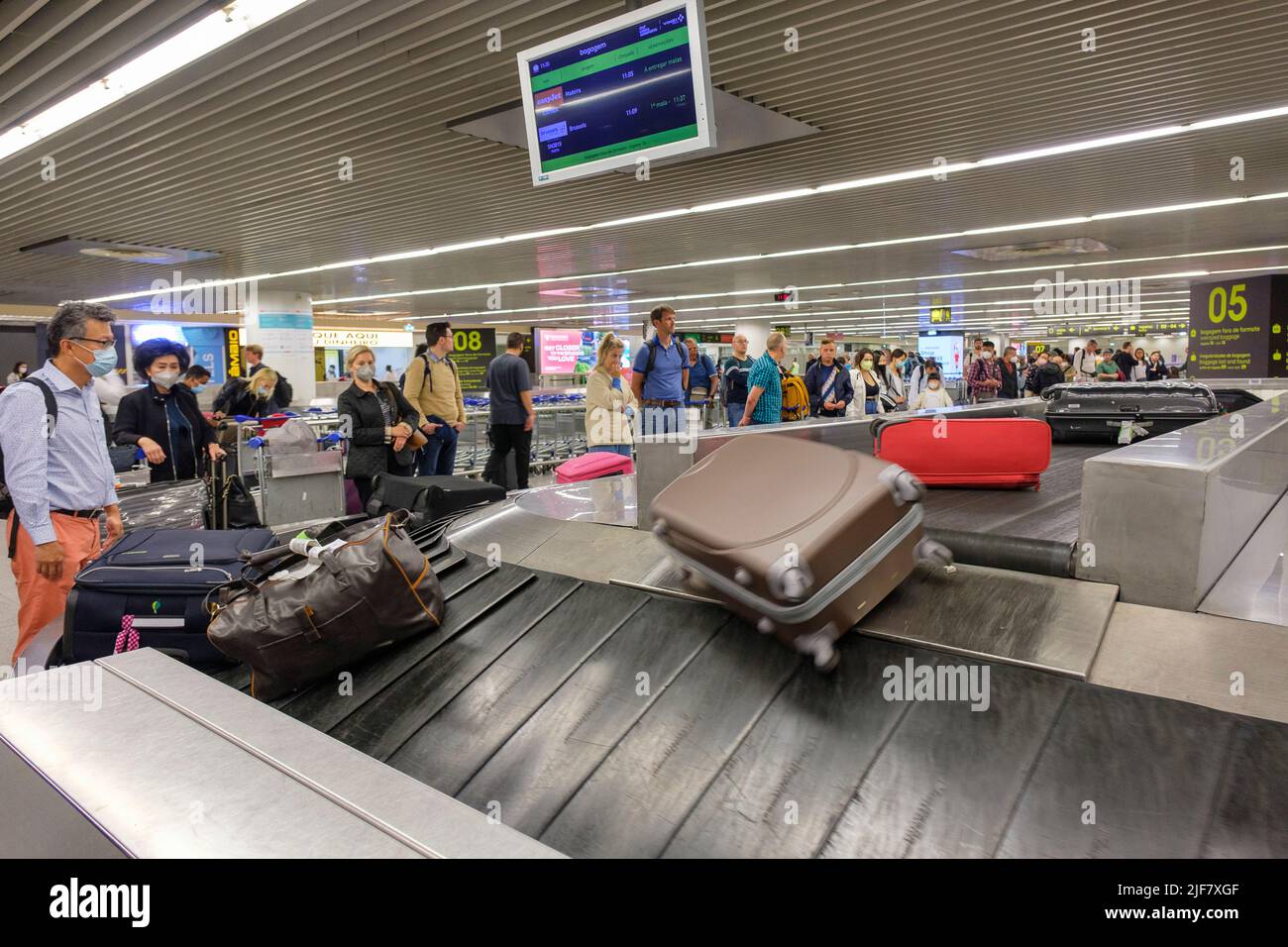 Baggage hall and retrieval of the luggages wich are coming out on the track from the plane