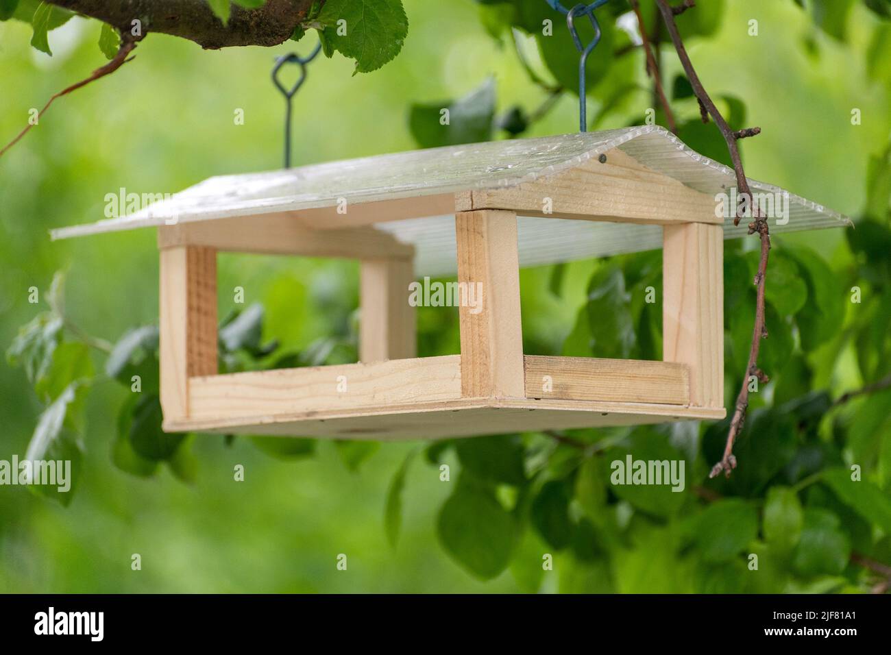 Wooden bird feeder hanging on a tree branch in summer Stock Photo