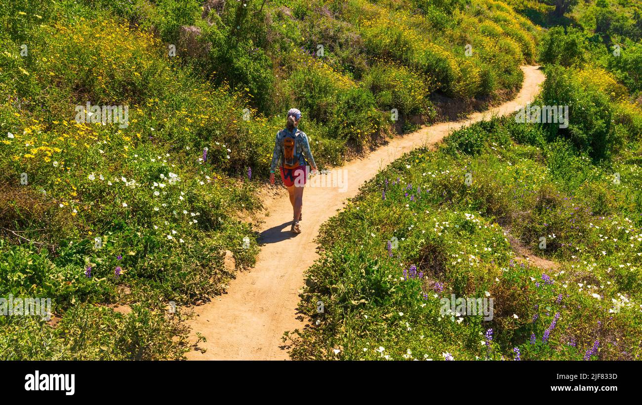 Woman hiking through spring blooms at Harmon Canyon Preserve, Ventura
