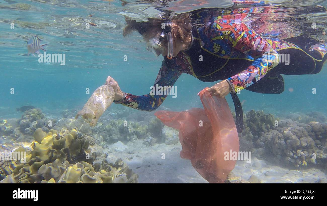 Woman in diving equipment swims and collects plastic debris underwater on the bottom of coral reef. Snorkeler cleaning Ocean from plastic pollution. P Stock Photo