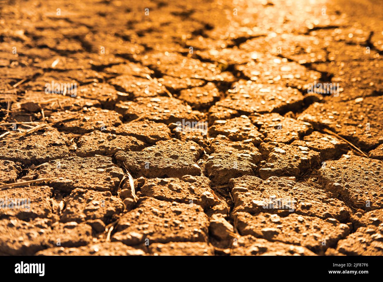 Close-up of cracked asphalt texture in evening golden sunslight. Cracks on the old road surface. Stock Photo