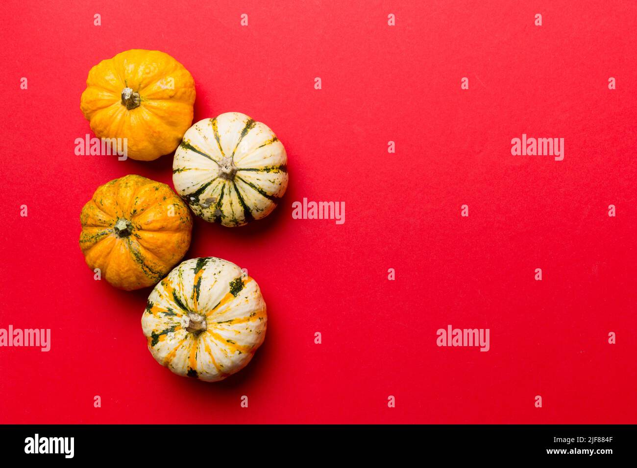 Autumn composition of little orange pumpkins on colored table ...