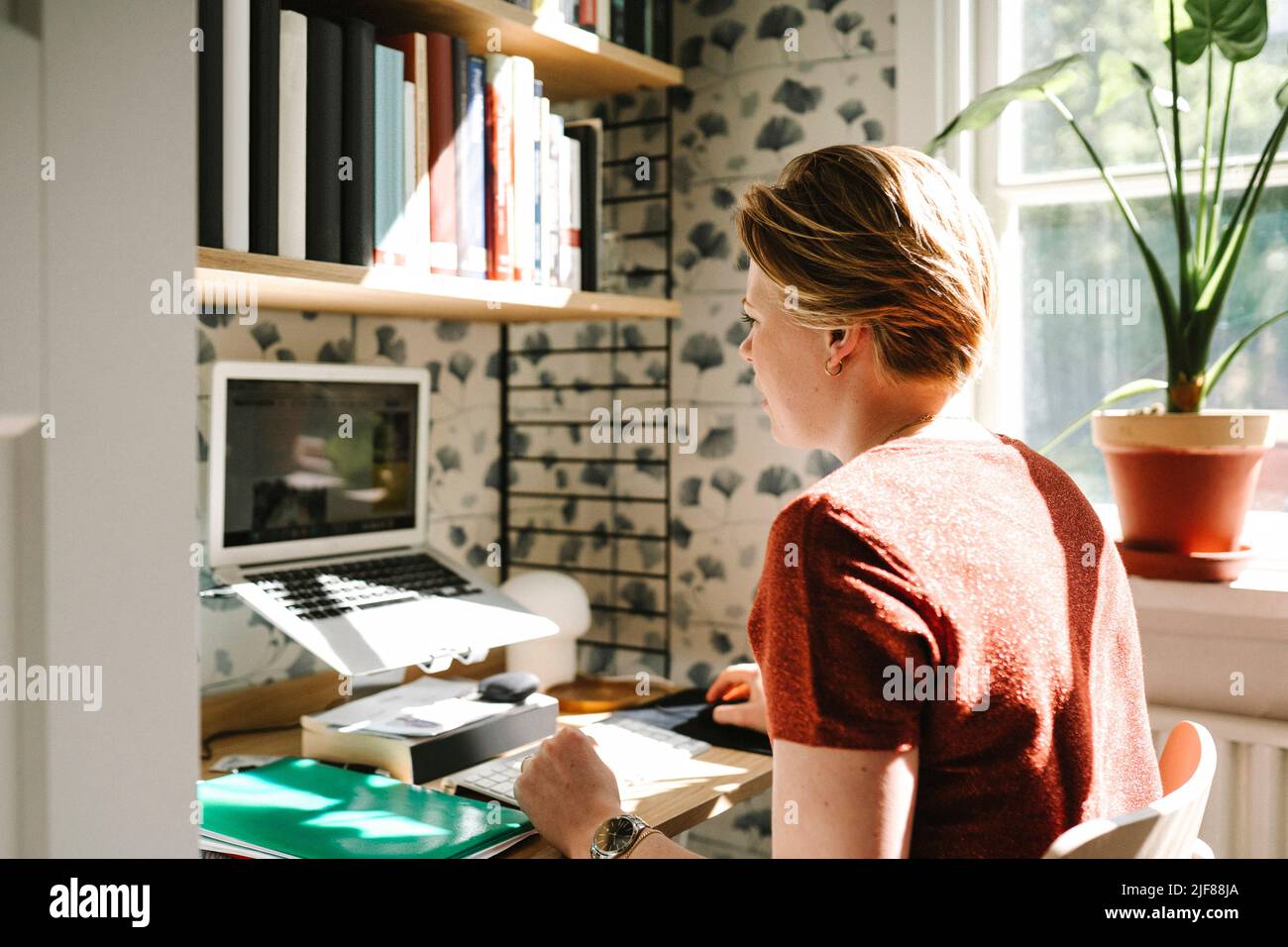 Female freelancer working on laptop at home Stock Photo