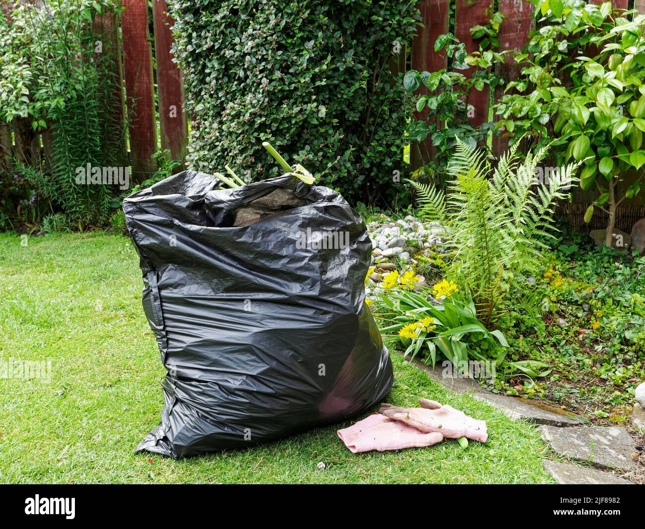 Black plastic bag with gardening waste and gloves in UK garden Stock Photo
