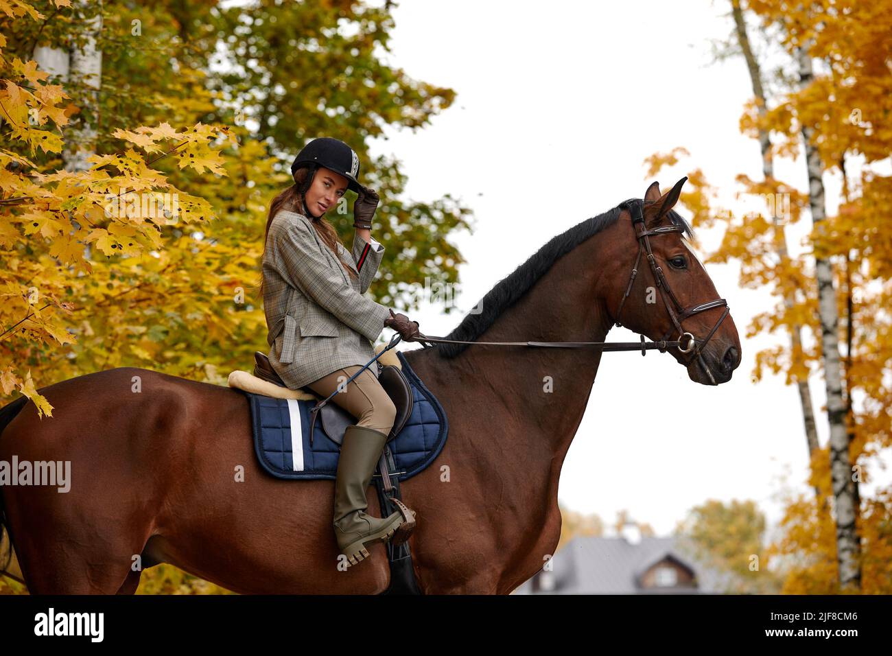 Woman rides white horse bareback hi-res stock photography and images - Alamy