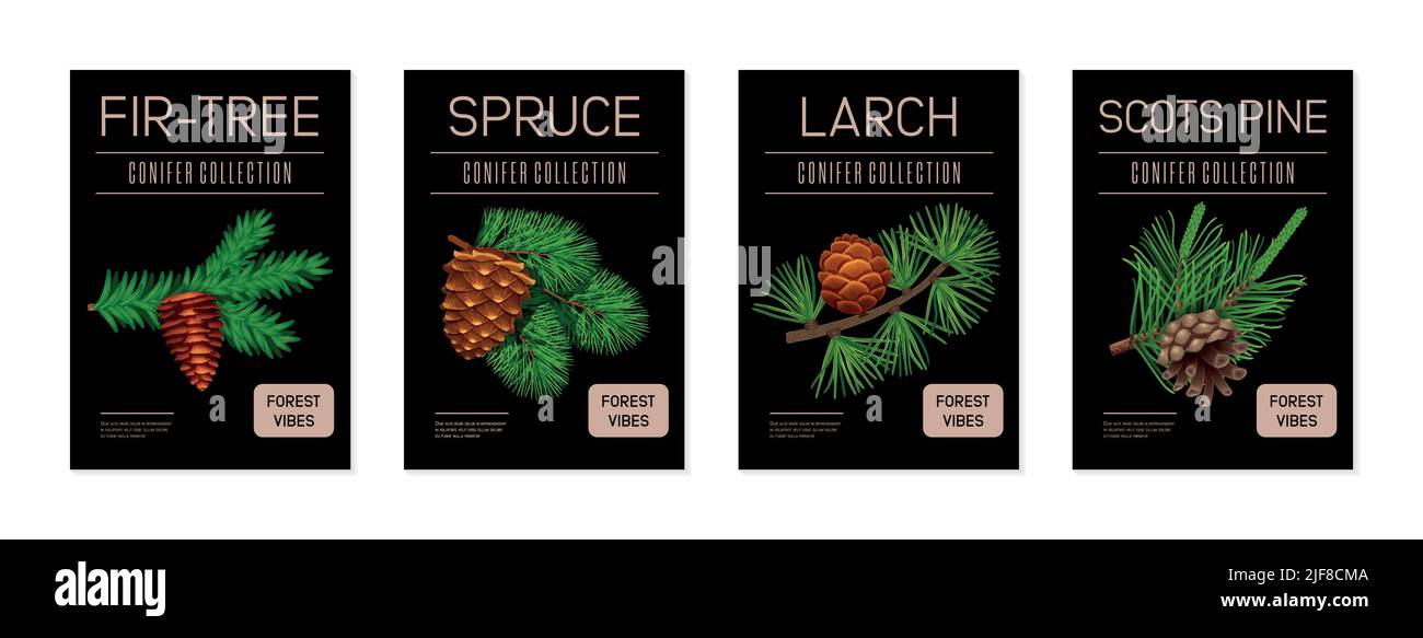Pine tree vertical banners set with larch and spruce flat isolated vector illustration Stock Vector