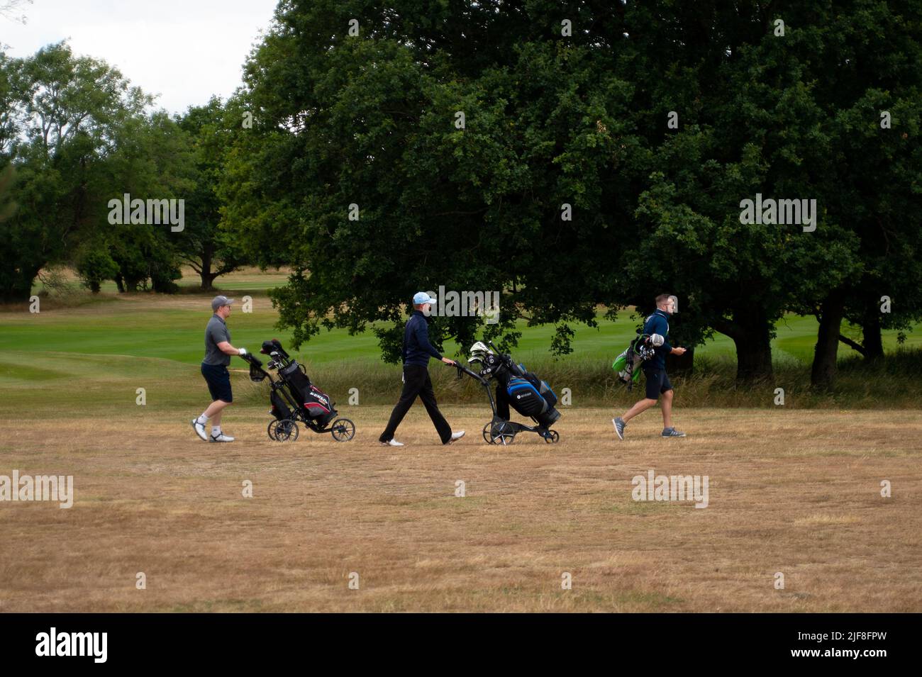 Woodlands in berkshire uk hires stock photography and images Alamy