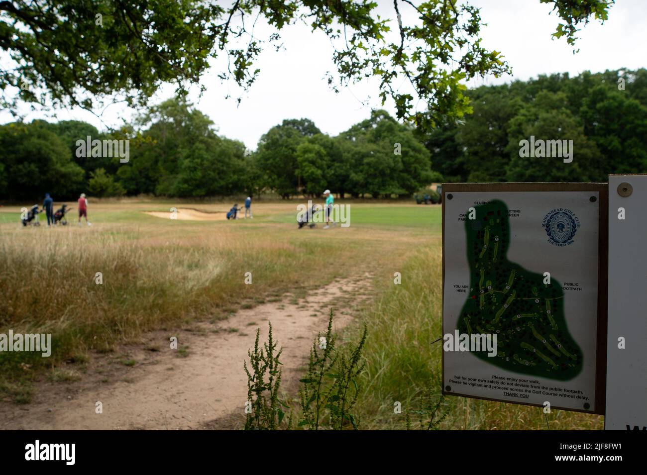 Maidenhead, Berkshire, UK. 30th June, 2022. Following the approval of the Borough Local Plan by Councillors at the Royal Borough of Windsor and Maidenhead, over 2,000 homes are committed to be built by Cala Homes on Maidenhead Golf Club. The 132 acre site is home to at least 14 species of protected wildlife, around 10,00 trees and also ancient woodland. Local campaigners for the Maidenhead Great Park Campaign have had an independent ecology report commisioned and are calling for the urgent protection and specialist management of the woodlands on the site to support biodiversity in Maidenhead. Stock Photo