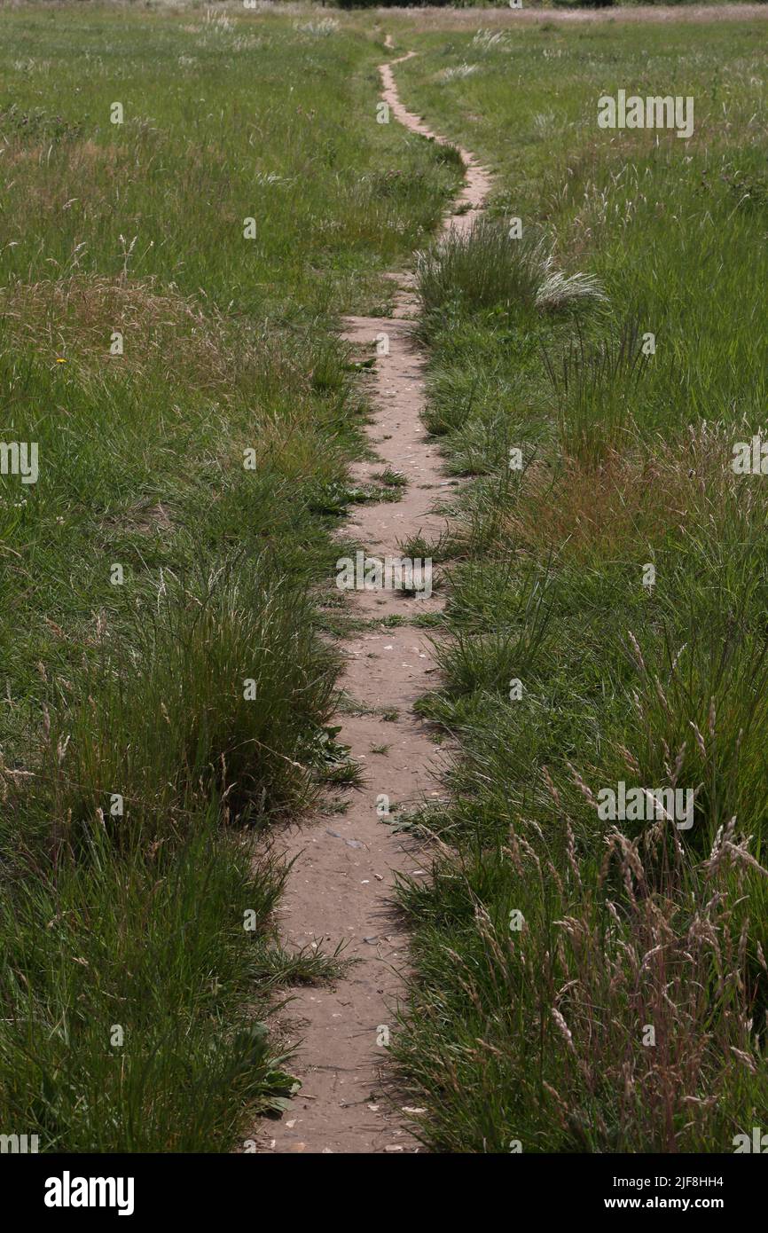 Walking Track Made in Grass Howell Hill Nature Reserve Epsom Surrey England Stock Photo