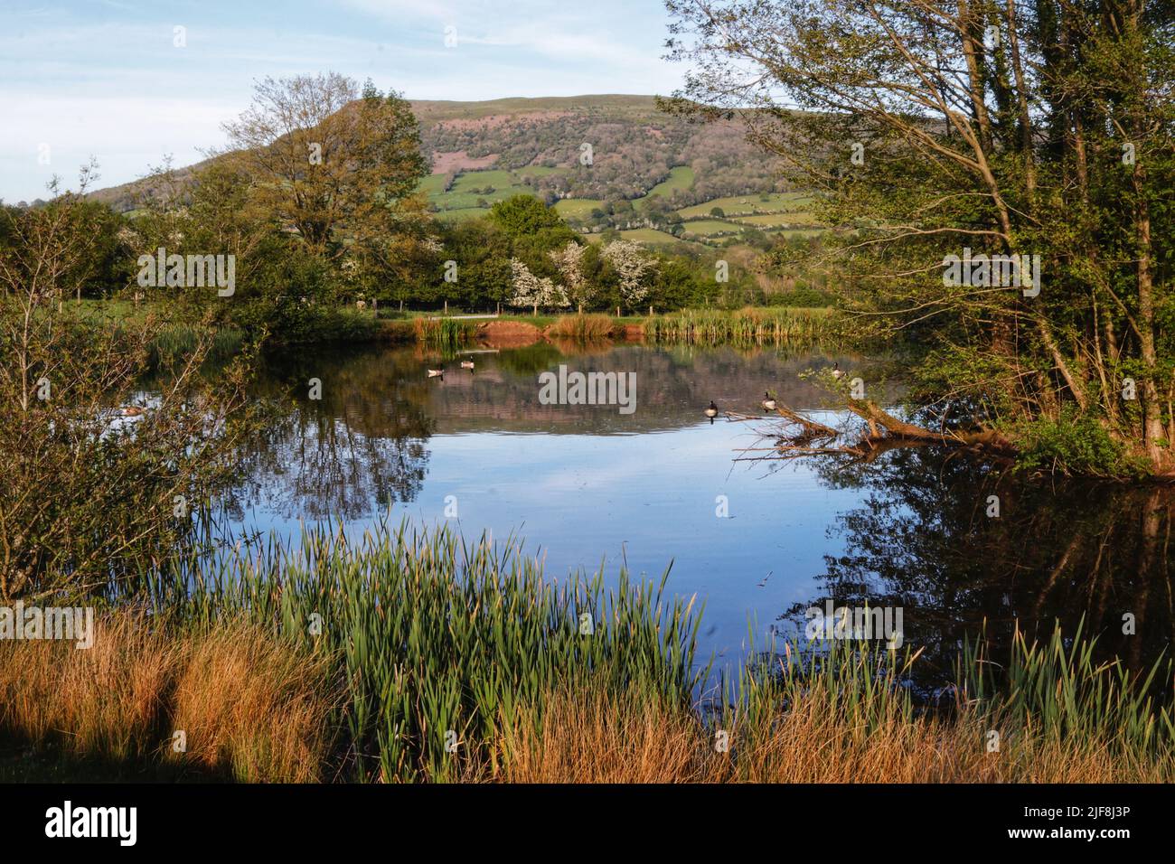 The outline of The Skirrid Mountain, or Ysgyryd Fawr in Welsh reflected from the surface of a calm pond Stock Photo