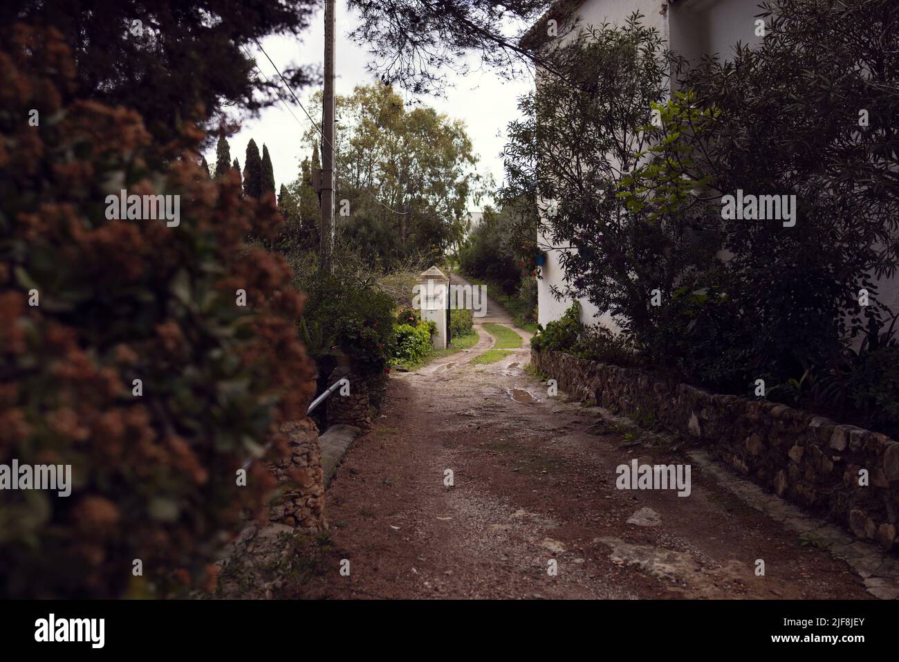 Cozy lonely road leading to rose garden in Mijas Stock Photo