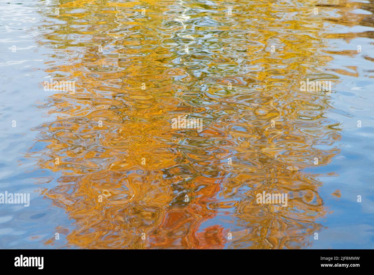Yellow and orange Aspen tree reflections on the rippled blue water of a pond in Sun Valley, Idaho, creating a beautiful abstract image. Stock Photo